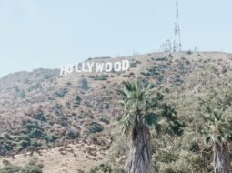 Independent Film Frontier