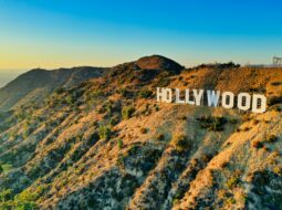 entertainment trends