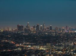 David Shane PR - Globalization of Entertainment